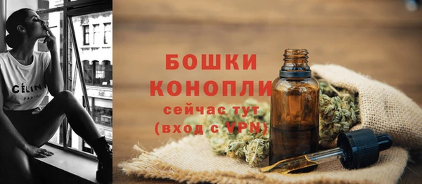 ПСИЛОЦИБИНОВЫЕ ГРИБЫ Всеволожск