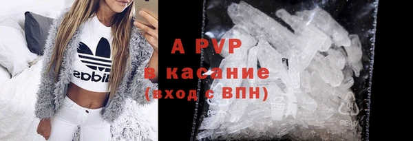 гашик Новозыбков