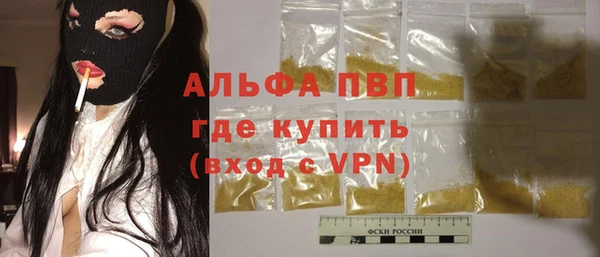 гашик Новозыбков