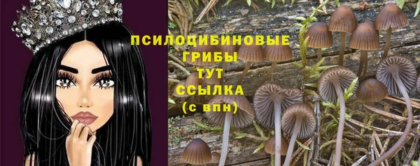 гашик Нягань