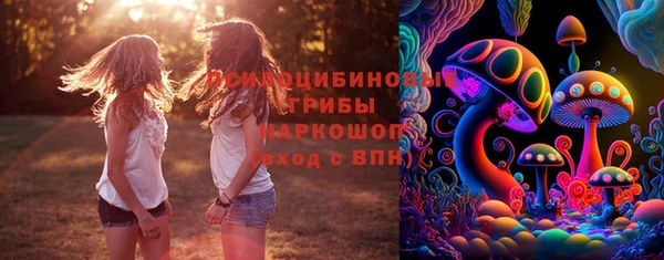 СК Няндома