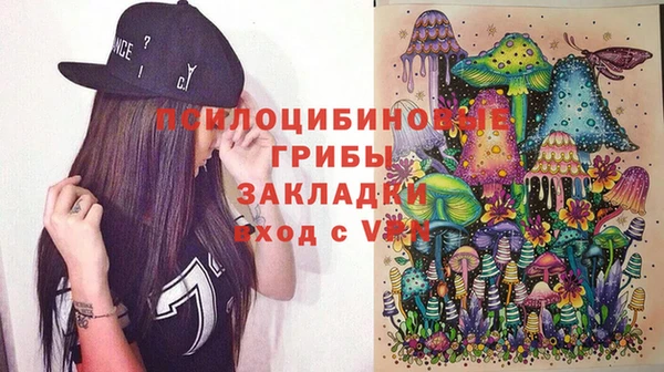 гашик Нягань