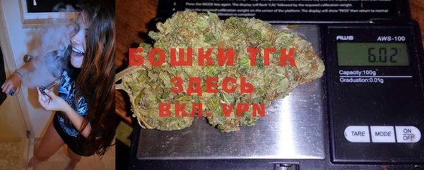 винт Лабытнанги