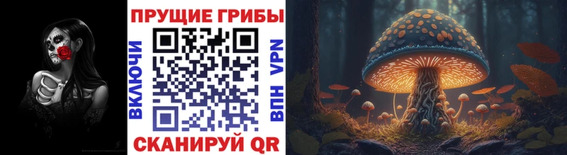 МЕГА сайт  Курильск  Галлюциногенные грибы Psilocybe 